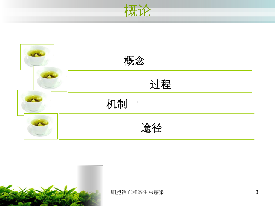 细胞凋亡和寄生虫感染培训课件.ppt_第3页