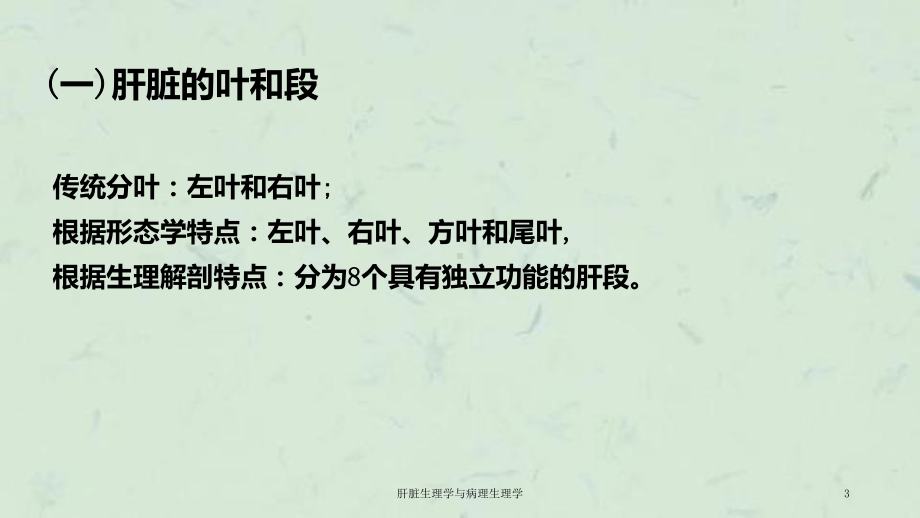 肝脏生理学与病理生理学课件.ppt_第3页