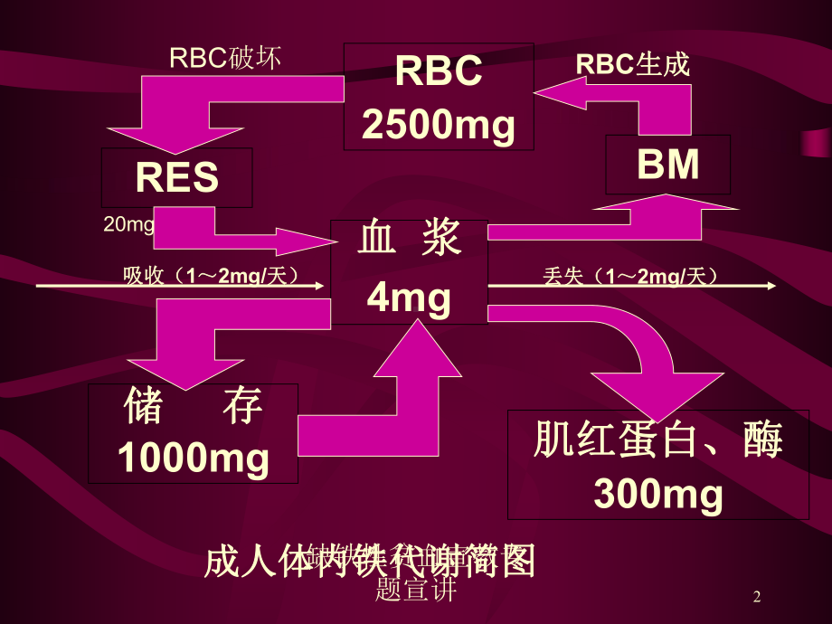 缺铁性贫血宣教专题宣讲培训课件.ppt_第2页