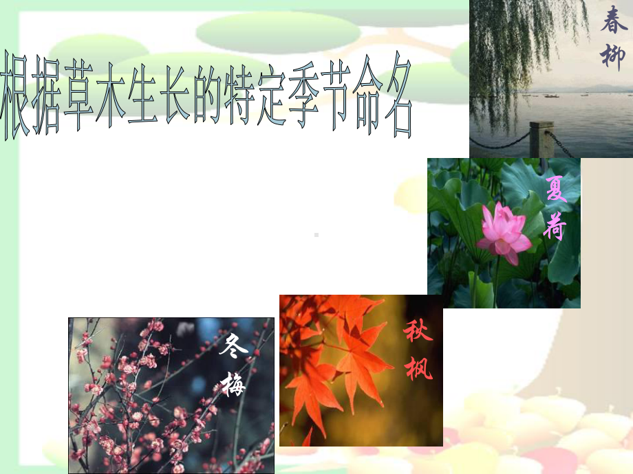 《大自然的语言》课件(55张).ppt_第3页