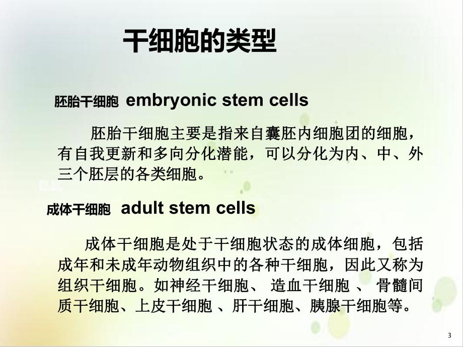 组胚研讨干细胞移植治疗糖尿病进展课件.ppt_第3页