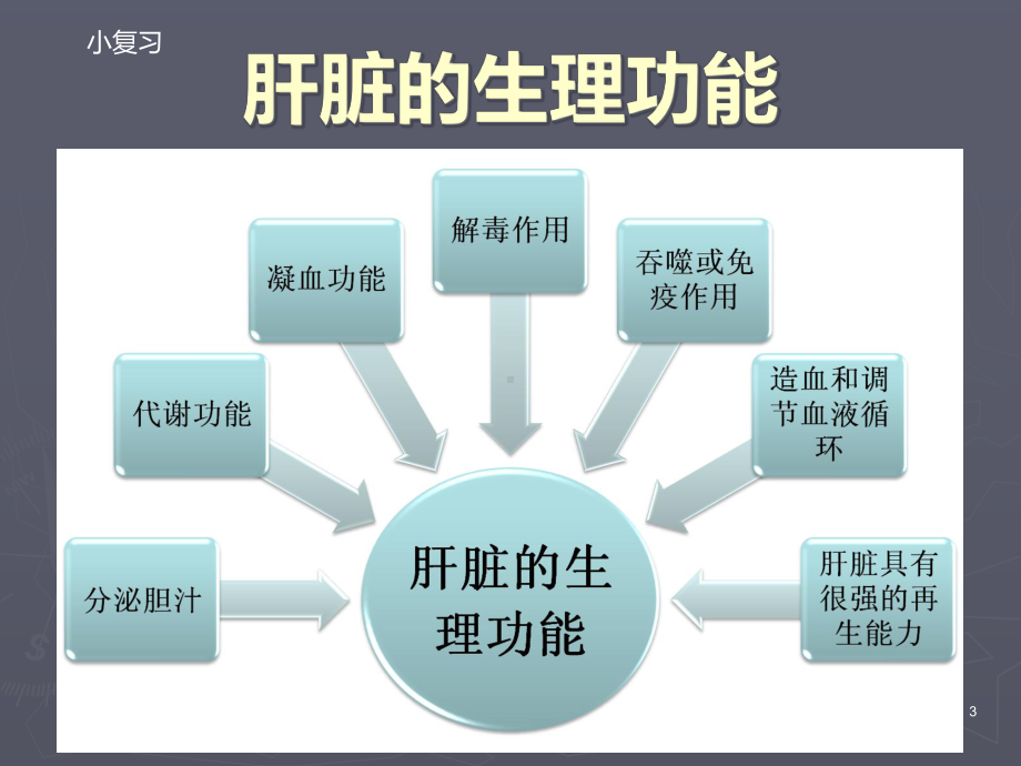 第四章第五节原发性肝癌病人的护理课件-2.ppt_第3页