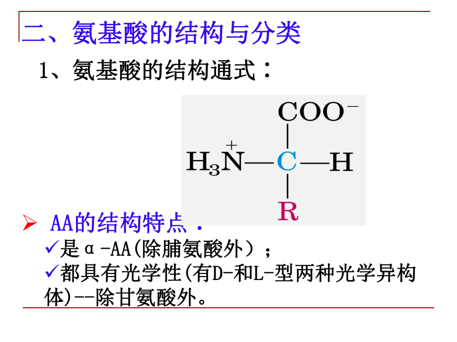 -蛋白质的结构-课件.ppt_第3页