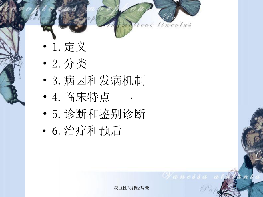 缺血性视神经病变培训课件.ppt_第2页