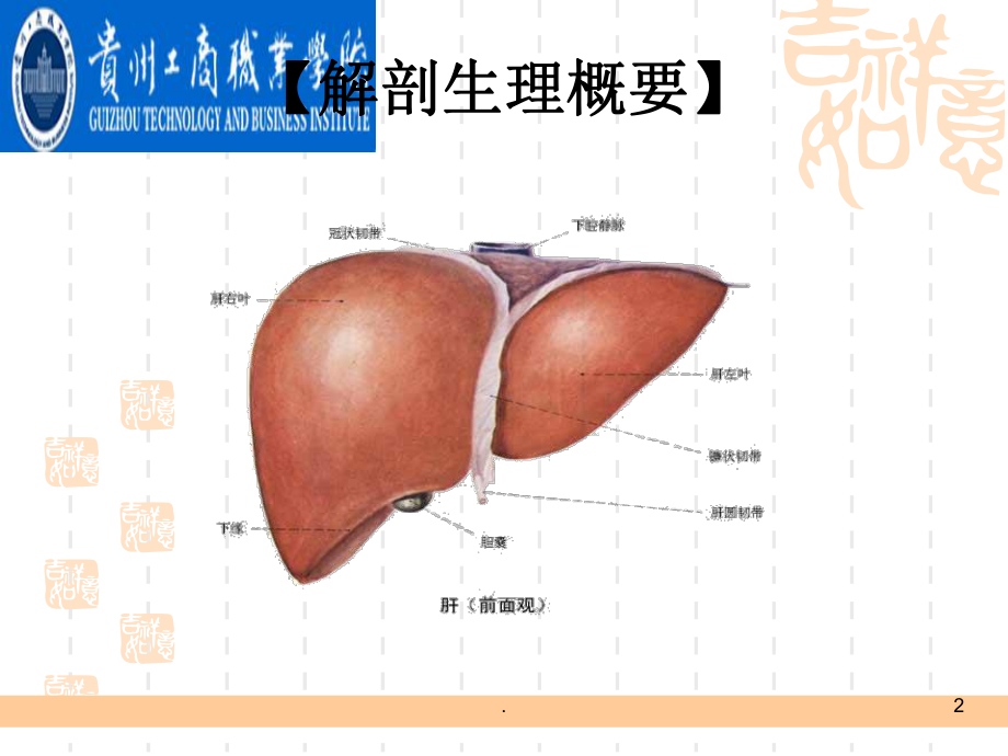 肝癌病人的护理完整课件.ppt_第2页