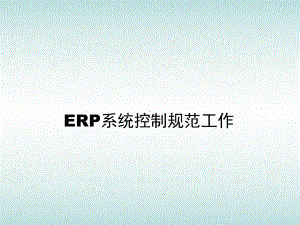 ERP系统控制规范工作课件.ppt