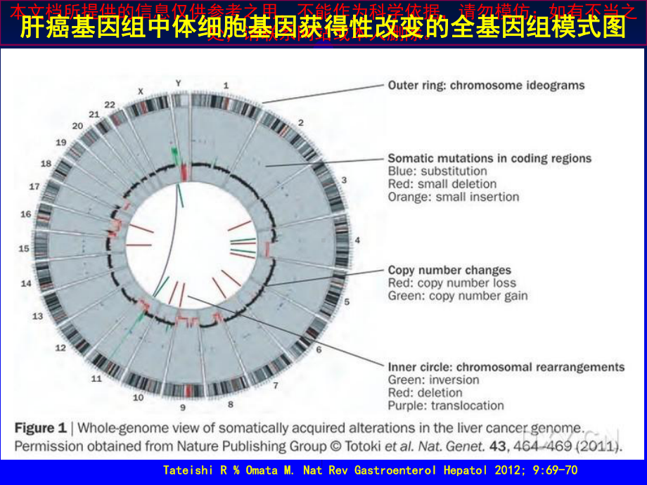 肝癌诊疗新进展培训课件-2.ppt_第2页