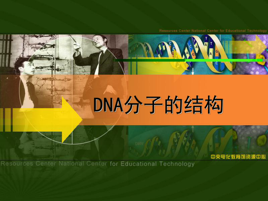 DNA分子的结构课件.ppt_第1页