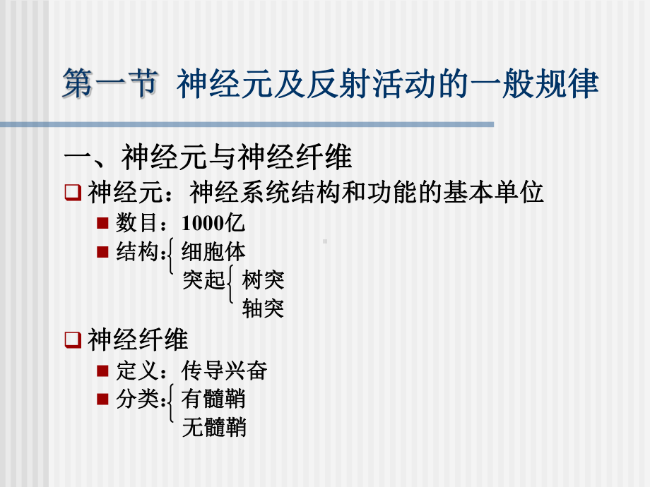 十章神经系统讲述课件.ppt_第3页