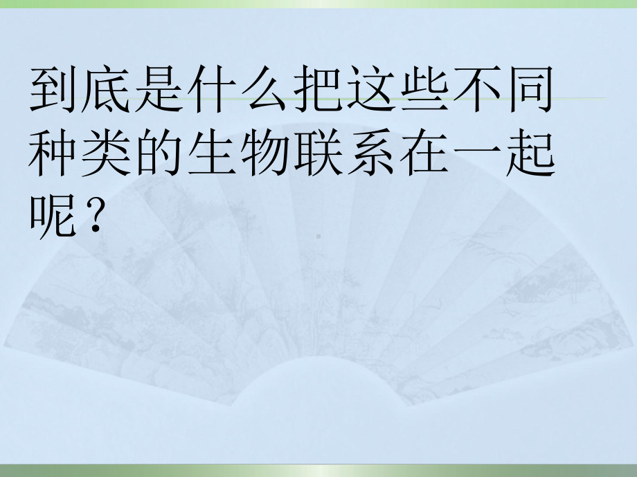 《有趣的食物链》苏教版科学完美课件1.ppt_第3页