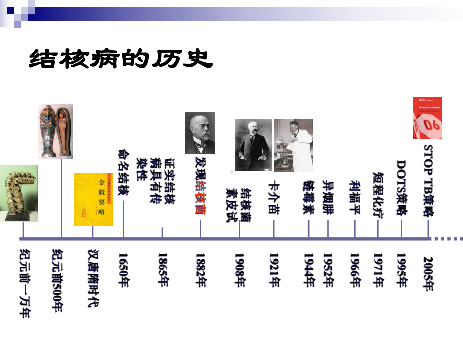 结核病流行与卡介苗接种课件.ppt_第2页