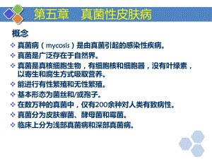 皮肤性病学第7版各论课件.ppt