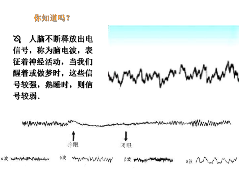 神经系统结构与功能课件.ppt_第3页