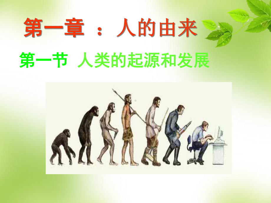 4-1-1人类的起源和发展课件.ppt_第3页