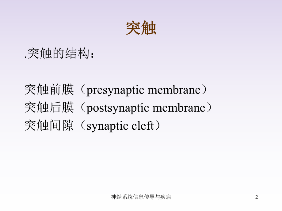 神经系统信息传导与疾病课件.ppt_第2页