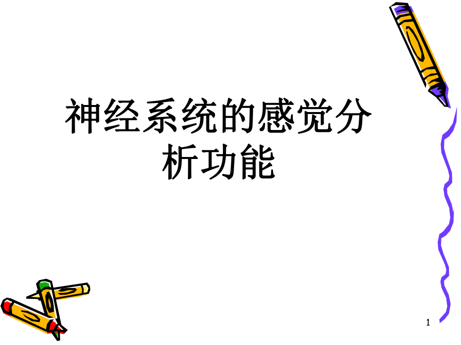 神经系统的感觉分析功能参考课件.ppt_第1页