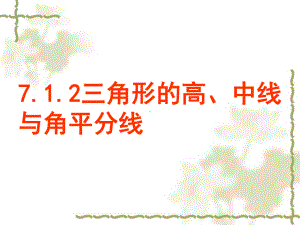 712三角形的高、中线、角平分线解析课件.ppt