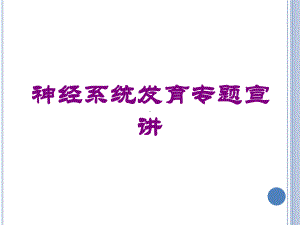 神经系统发育专题宣讲培训课件.ppt