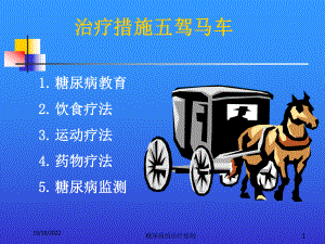 糖尿病的治疗原则培训课件.ppt