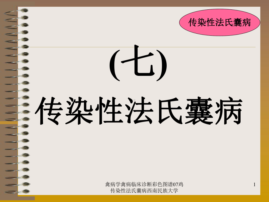 禽病学禽病临床诊断彩色图谱07鸡传染性法氏囊病课件.ppt_第1页