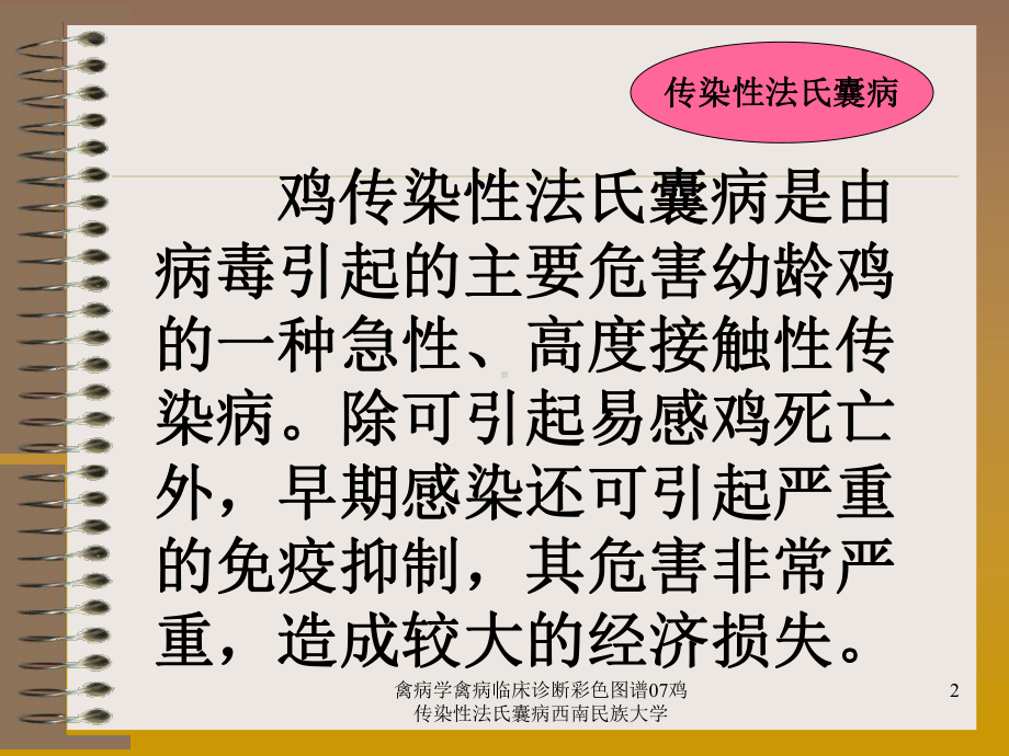 禽病学禽病临床诊断彩色图谱07鸡传染性法氏囊病课件.ppt_第2页