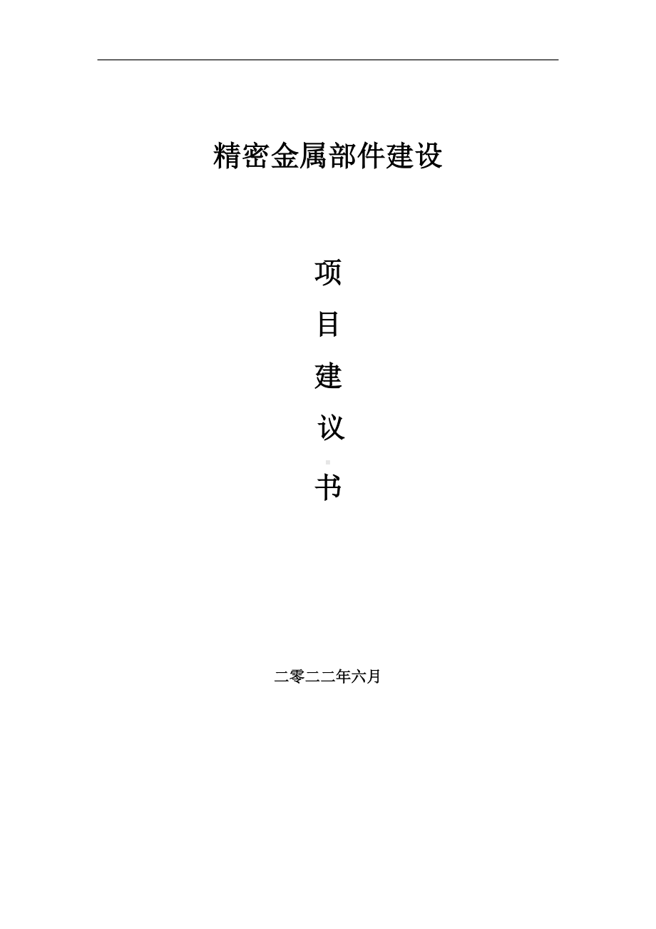 精密金属部件项目建议书（写作模板）.doc_第1页