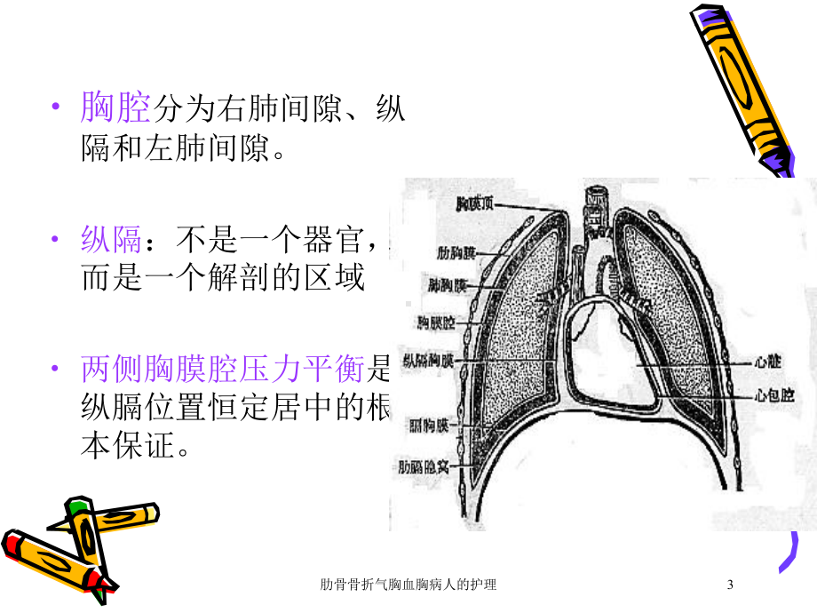 肋骨骨折气胸血胸病人的护理培训课件.ppt_第3页