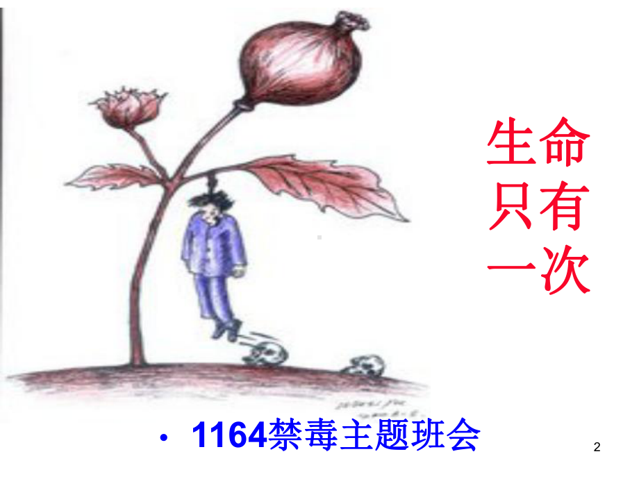 (精选班会)《生命只有一次》1164禁毒主题班会课件.ppt_第2页