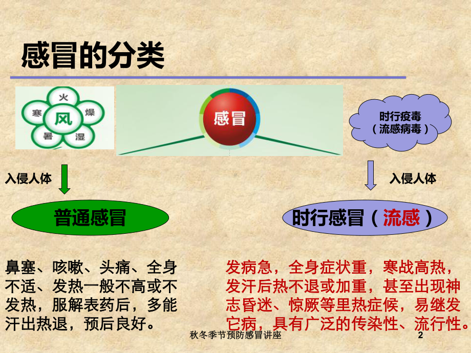 秋冬季节预防感冒讲座培训课件.ppt_第2页