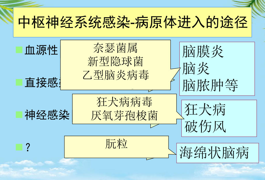 神经系统感染全面版课件.pptx_第2页