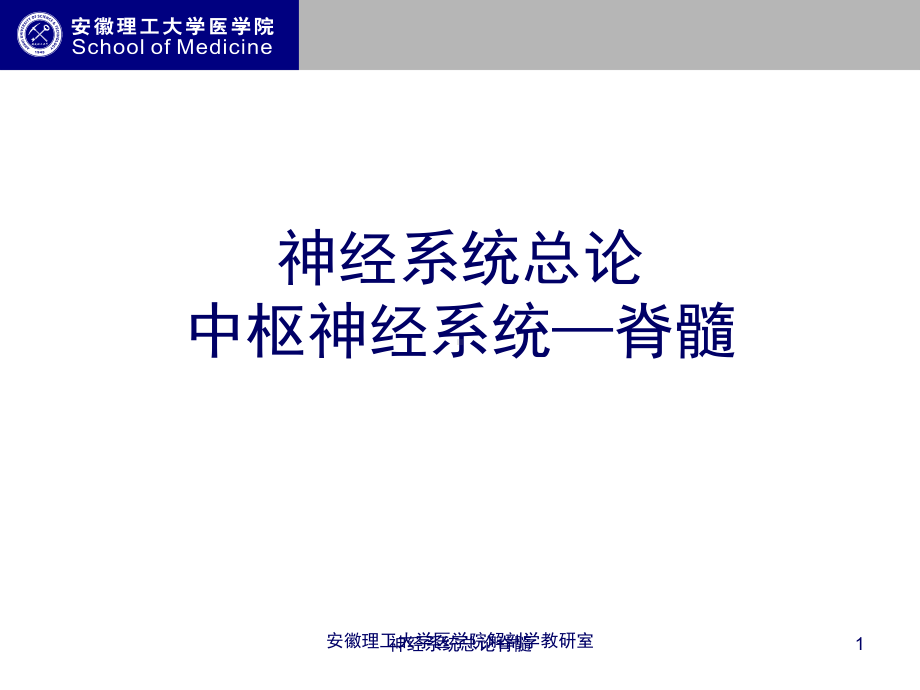 神经系统总论脊髓课件.ppt_第1页