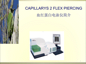 sebiacapillarys2fp电泳仪简介课件.ppt