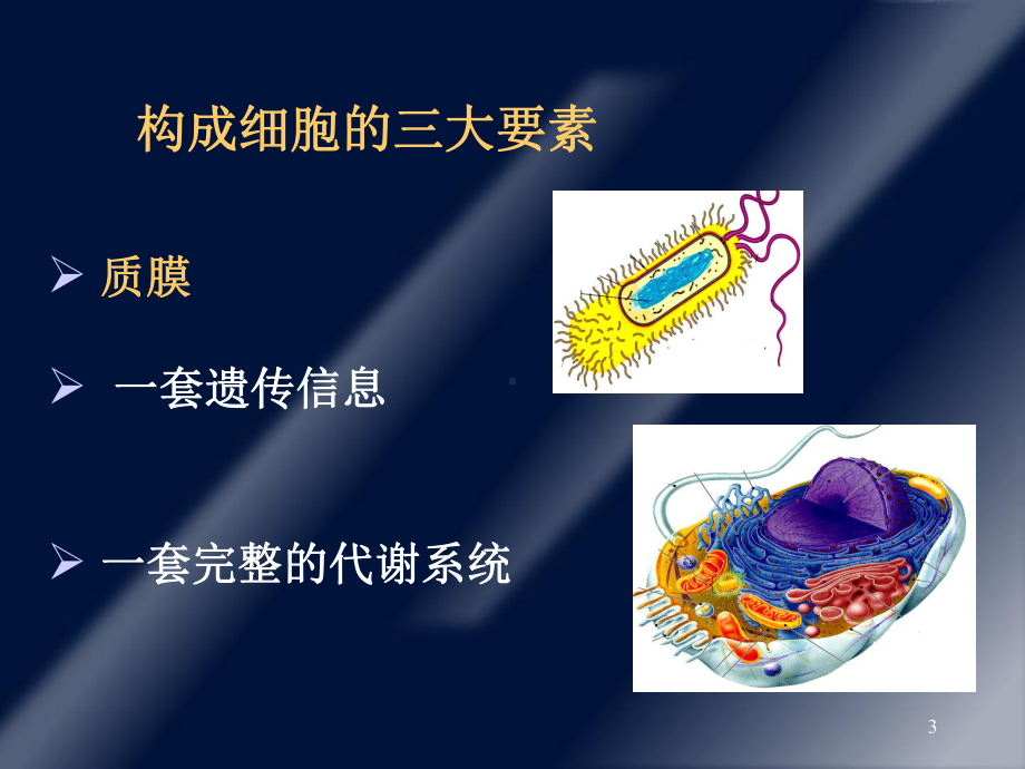 细胞膜及其表面医学生物学教学课件.ppt_第3页