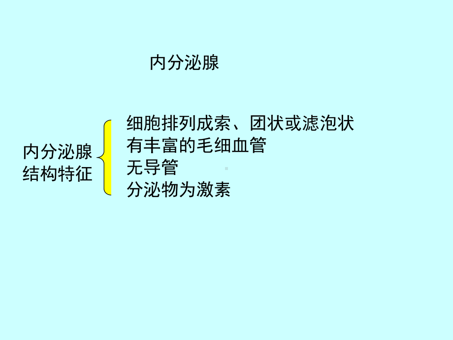 组织学和胚胎学课件内分泌系统最全.ppt_第3页