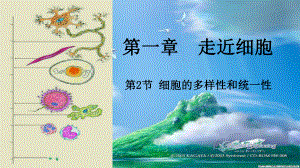 (新教材)高中生物《细胞的多样性和统一性》完美课件人教版1.ppt