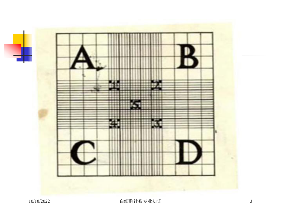白细胞计数专业知识培训课件.ppt_第3页