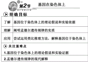 2章2节基因在染色体上课件.ppt