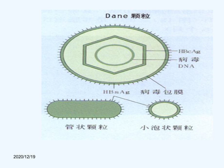 研究生(临床化学检查)课件.ppt_第3页