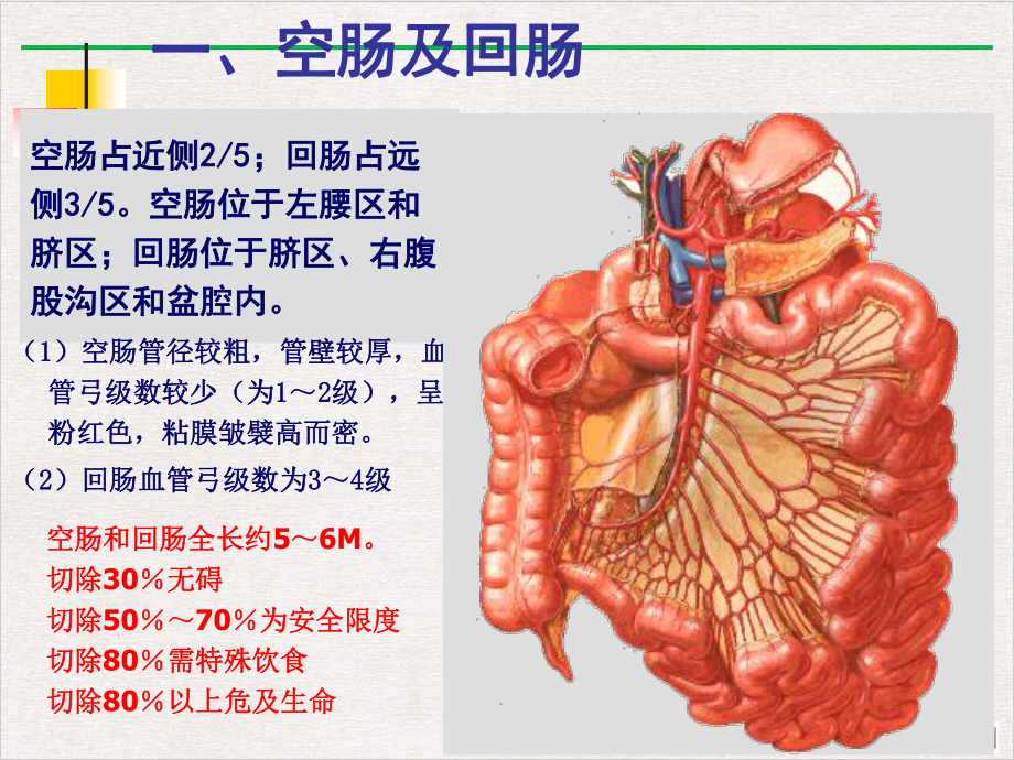 结肠下区腹后隙课件.pptx_第1页