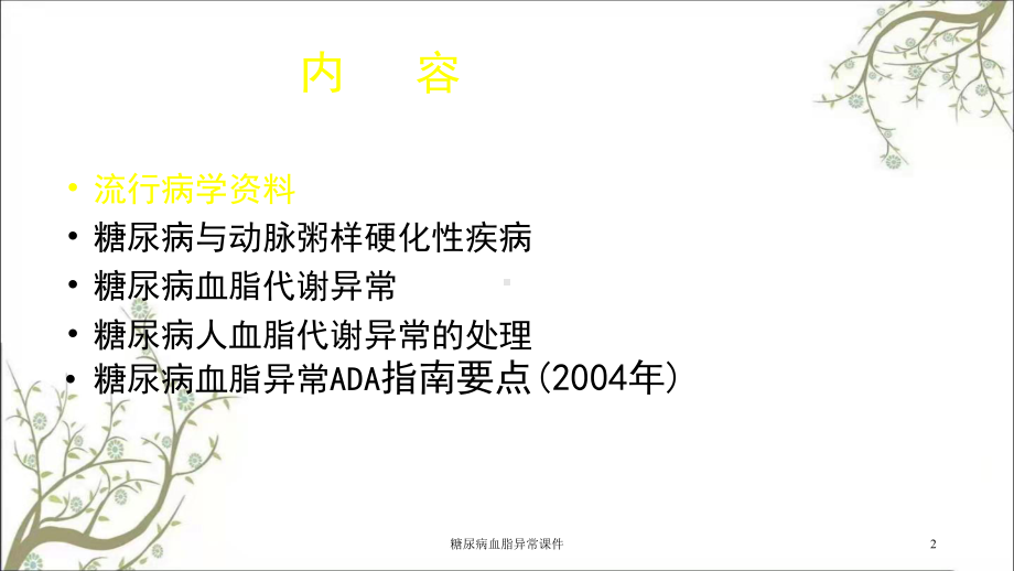 糖尿病血脂异常课件.ppt_第2页