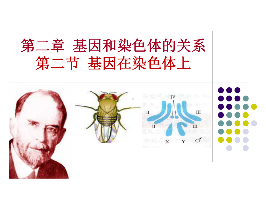 (新教材)基因在染色体上人教版1课件.pptx_第1页