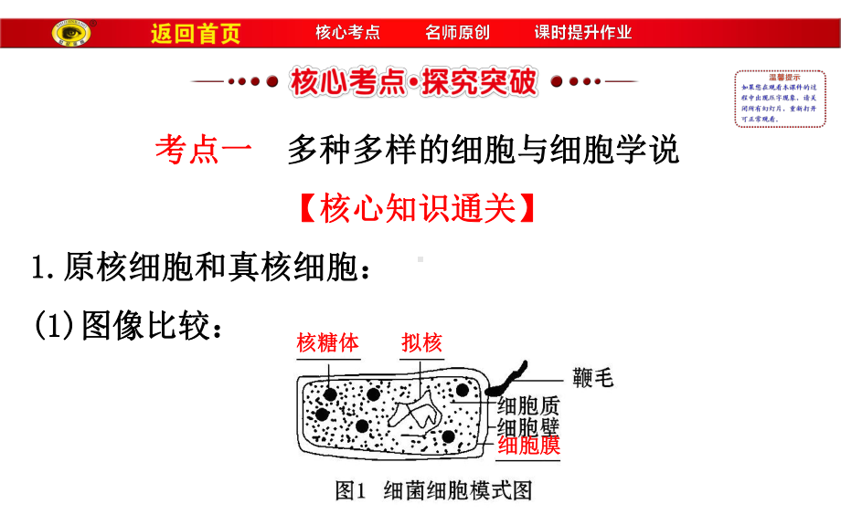 11走进细胞-一轮复习综述课件.ppt_第3页