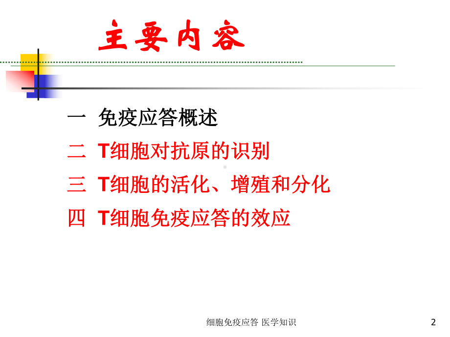 细胞免疫应答-医学知识培训课件.ppt_第2页