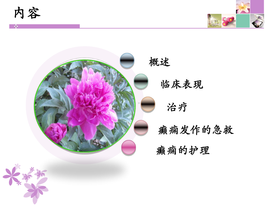 癫痫的治疗及护理课件.ppt_第2页