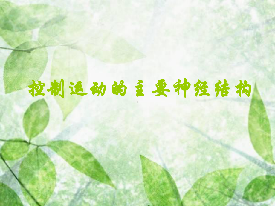 神经系统运动功能检查完整课件-2.ppt_第2页