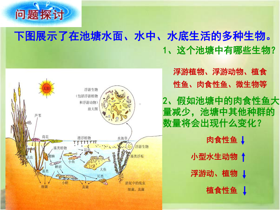 （人教版）群落的结构优质课1课件.ppt_第3页