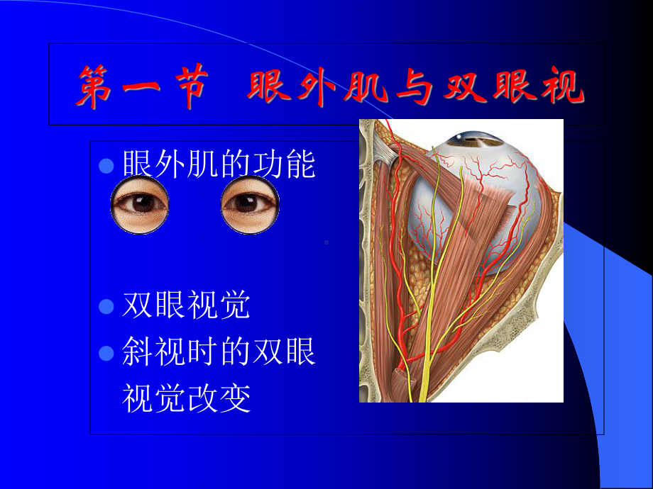 眼病学课件-13眼外肌病和弱视.ppt_第2页