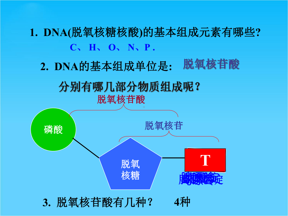 DNA分子的结构和特点课件.ppt_第3页