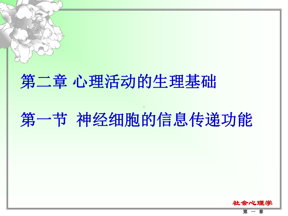 《生理基础》课件.ppt_第1页