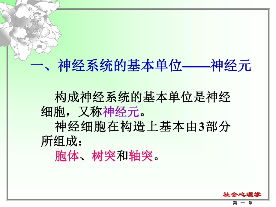 《生理基础》课件.ppt_第2页